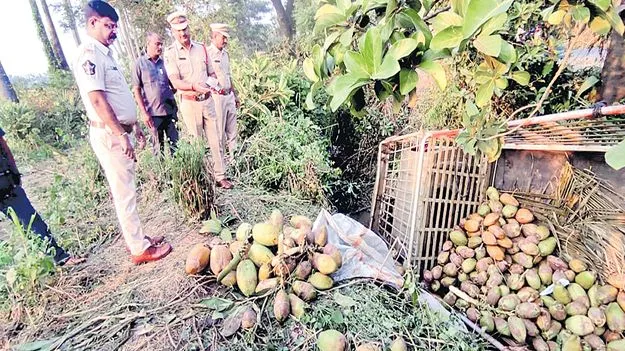 Bapatla District: అతి వేగానికి మరో 5 ప్రాణాలు బలి 