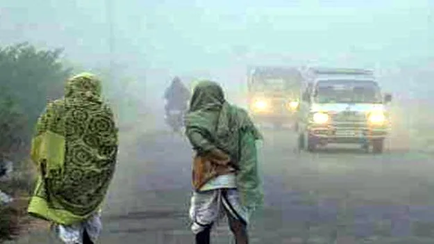 Weather Update: పెరిగిన చలి