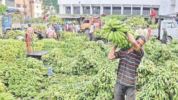 Banana Exports: అరటిపై బాదుడు