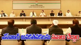 SIR: ఓటర్ల జాబితాలో అవకతవకలపై సవాలు చేయండి.. రాష్ట్రాల నేతలకు కాంగ్రెస్ దిశానిర్దేశం