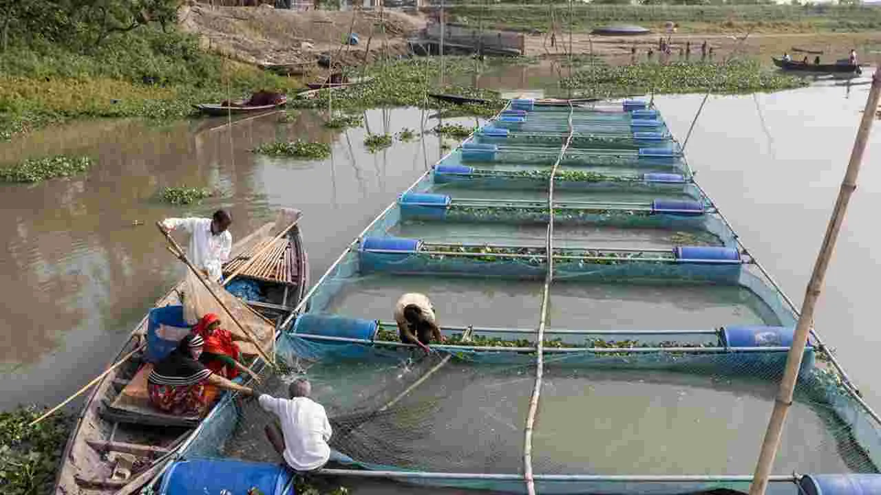 Modern Fishing Techniques: ఉప్పాడ మత్స్యకారులకు ముగిసిన శిక్షణ