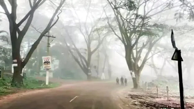 Visakhapatnam: రాష్ట్రంలో కొనసాగుతున్న మంచు