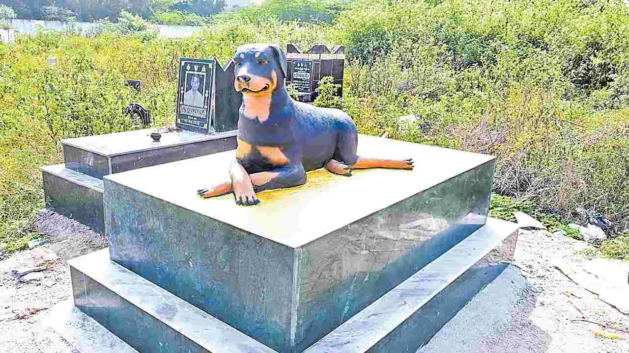 Chittoor Urban: కుక్కకు సమాధి.. వైద్యానికి రూ.7 లక్షల ఖర్చు