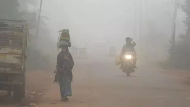 Weather: కొనసాగిన చలి తీవ్రత