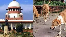 Public Appeal: వీధి కుక్కలపై తీర్పును పునఃసమీక్షించండి