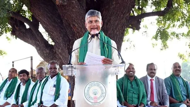 CM Chandrababu Naidu: అరటి రైతులు నష్టపోకుండా చర్యలు 