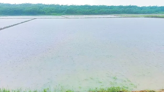 Cyclonic Circulation: చెన్నైకి చేరువగా తీవ్ర వాయుగుండం