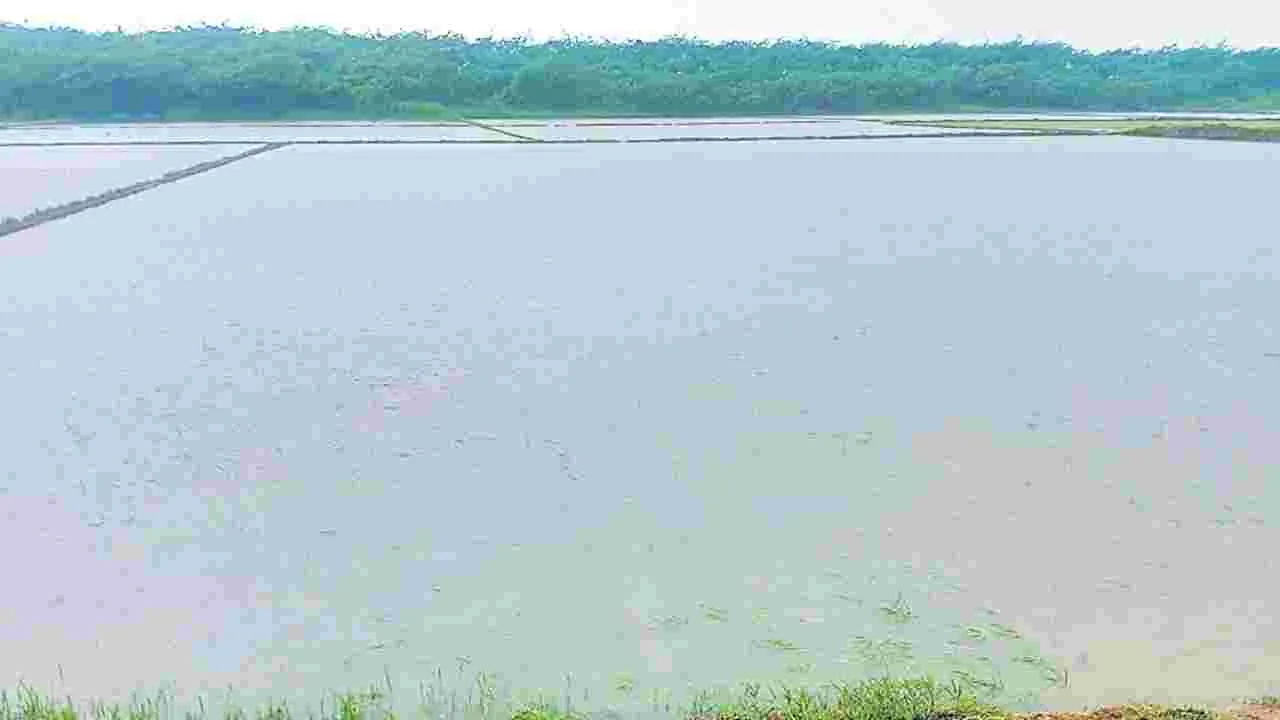 Cyclonic Circulation: చెన్నైకి చేరువగా తీవ్ర వాయుగుండం