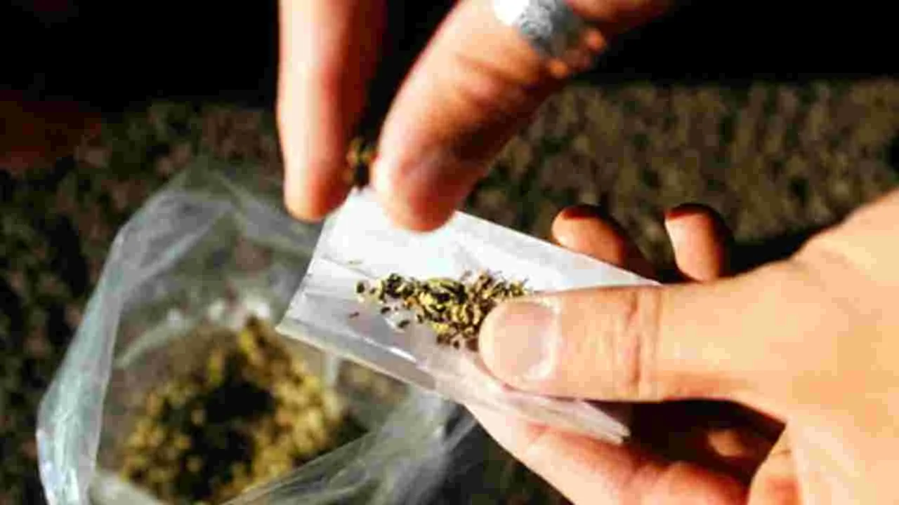 Drug Cases: జైళ్లలో గంజాయి మత్తు