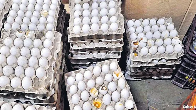 Anganwadi Centers: చిన్న గుడ్డు.. పెద్ద మోసం