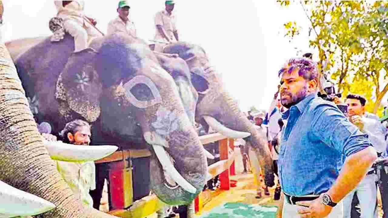 Wildlife Protection: హనుమాన్‌ రక్ష..