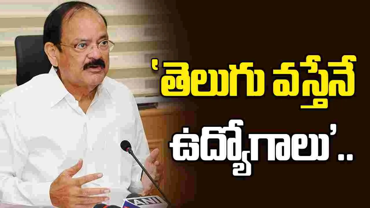 Venkaiah Naidu: 'తెలుగు చదువుకుంటేనే ఉద్యోగం'.. వెంకయ్యనాయిడు కీలక వ్యాఖ్యలు!