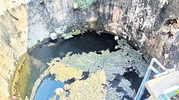 జలం.. పుష్కలం  