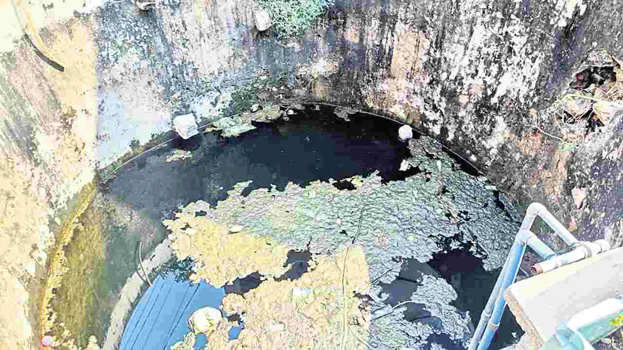 జలం.. పుష్కలం  