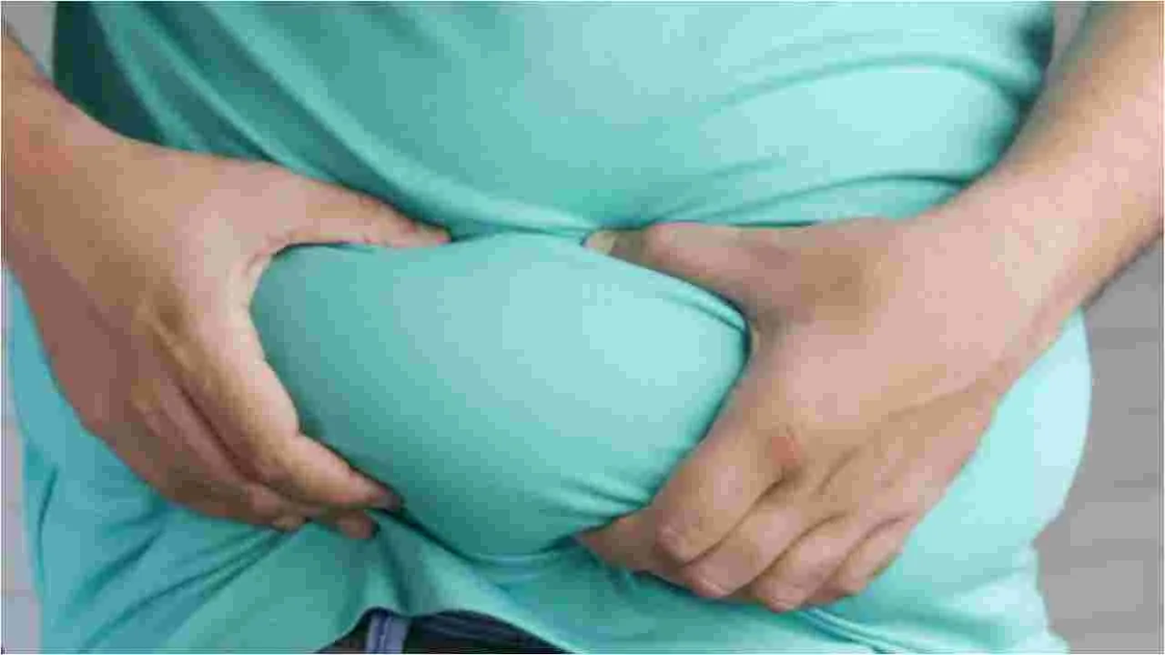 Weight Loss Tips: రోజూ 30 నిమిషాల వాకింగ్.. ఎన్ని కేలరీలు బర్న్ అవుతాయో తెలుసా? 