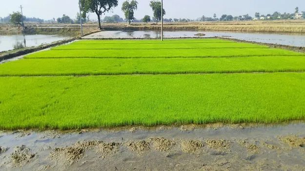 యాసంగి సాగుకు రైతన్నల సమాయత్తం