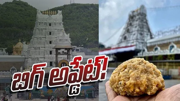 TTD Adulterated Ghee Case: టీటీడీ కల్తీ నెయ్యి కేసులో మరో కీలక పరిణామం