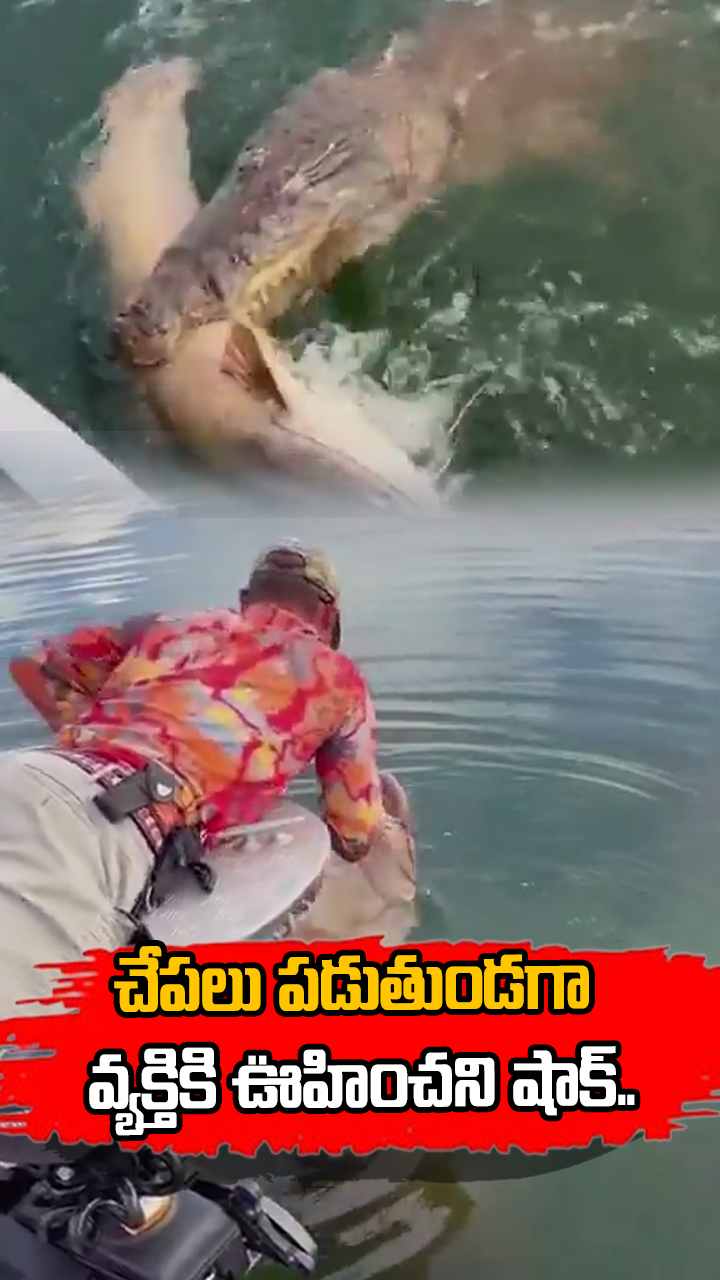  నీటి లోపల నుంచి ఒక్కసారిగా.!