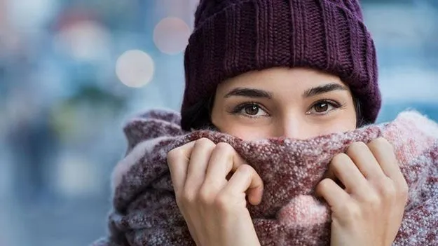 Health Tips: శీతాకాలంలో ఇవి తప్పకుండా తీసుకోండి.. ఆరోగ్యాన్ని కాపాడుకోండి