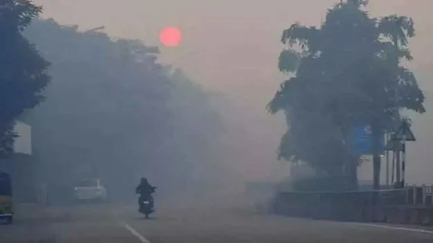 Cold Waves In Telugu States: చలితో తెలుగు రాష్ట్రాలు ఉక్కిరిబిక్కిరి