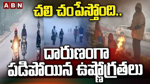 Cold Waves: పంజా విసిరిన చలి పులి.. వణుకుతున్న తెలుగు రాష్ట్రాలు
