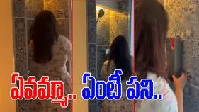 Woman Theft Funny Video: హోటల్ గది ఖాళీ చేసే సమయంలో.. ఈమె చేసిన పని చూస్తే నోరెళ్లబెడతారు.. 
