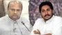 YS Jagan Birthday: జగన్ పుట్టినరోజు వేడుకలపై తీవ్రంగా స్పందించిన యనమల