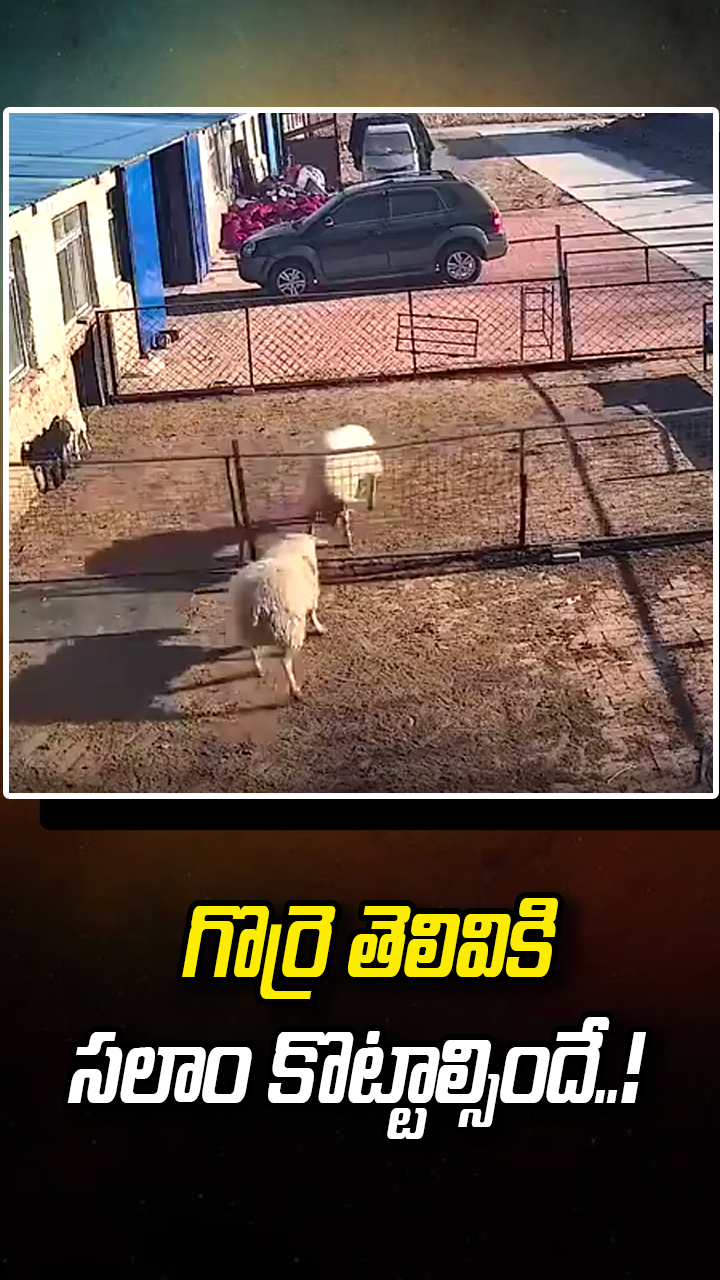 ఏం ఫీల్ ఉంది మామా..