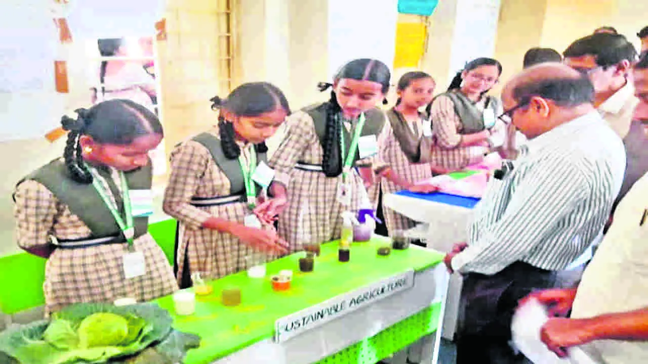 రాష్ట్రస్థాయి సైన్స ఫెయిర్‌కు ఎంపిక