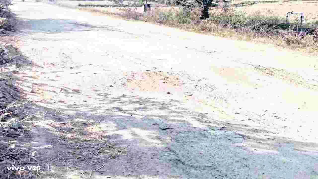 శ్రీధరఘట్ట రోడ్డు .. గుంతలమయం