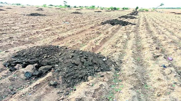 సేంద్రియానికే సై