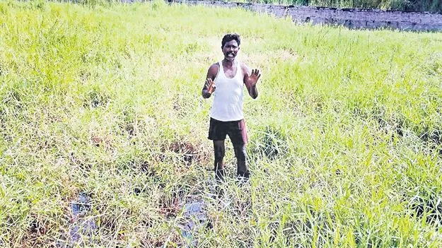 పంటకు ఊట దెబ్బ 