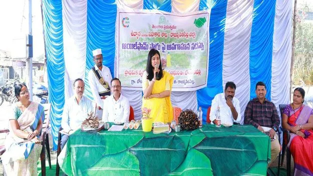 ఆయిల్‌పామ్‌ అన్ని కాలాలకు అనుకూలం..