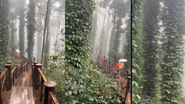 Araku: అరకు ఉడెన్ బ్రిడ్జ్ సందర్శన వేళల్లో మార్పు