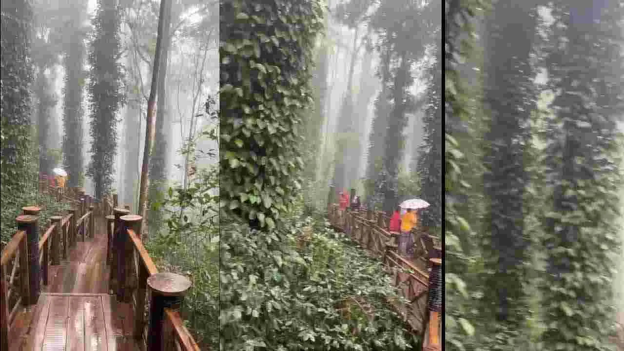 Araku: అరకు ఉడెన్ బ్రిడ్జ్ సందర్శన వేళల్లో మార్పు