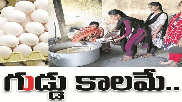 kumaram bheem asifabad- గుడ్డు కాలమే..