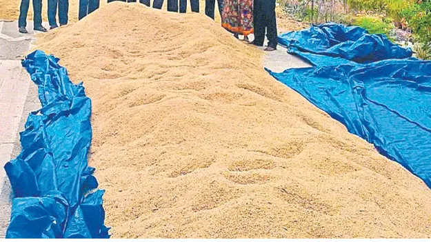 సబ్సిడీ టార్పాలిన్ల కోసం నిరీక్షణ 