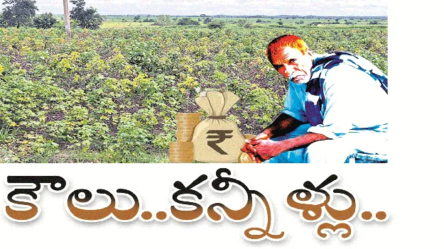 kumaram bheem asifabad- కౌలు.. కన్నీళ్లు..