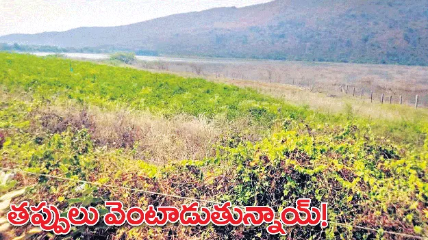 తప్పులు వెంటాడుతున్నాయ్‌!