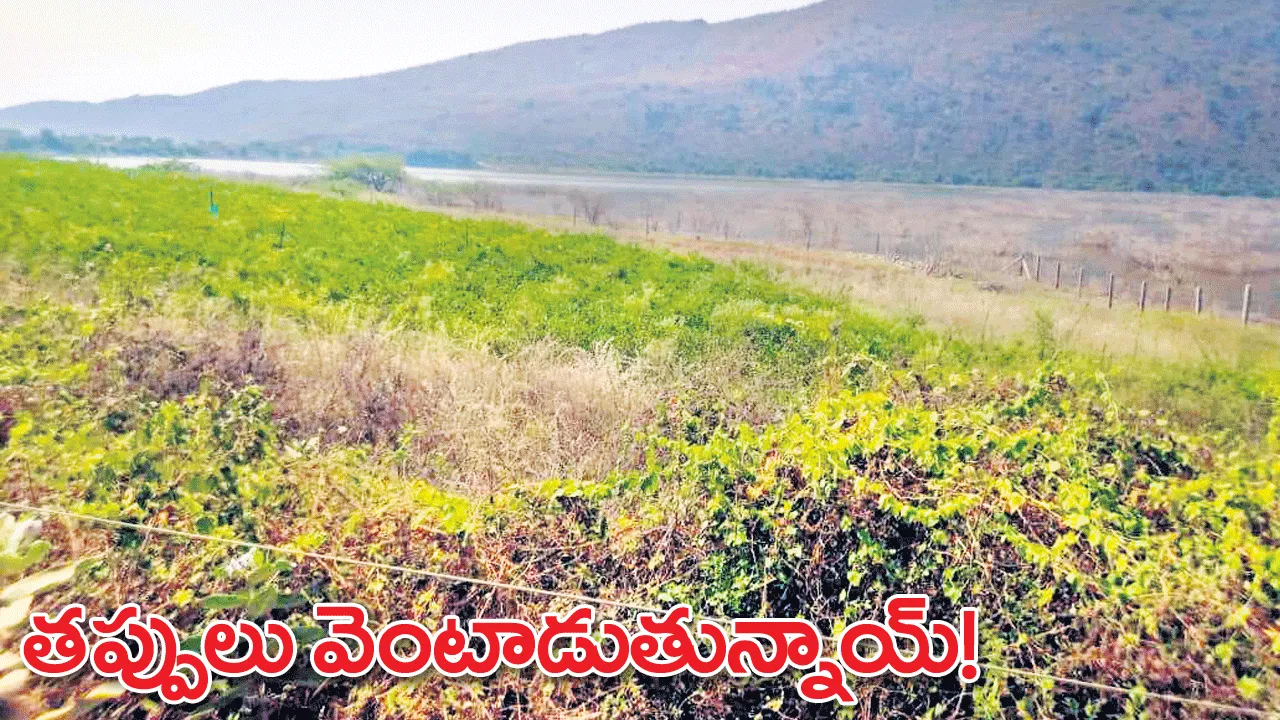 తప్పులు వెంటాడుతున్నాయ్‌!