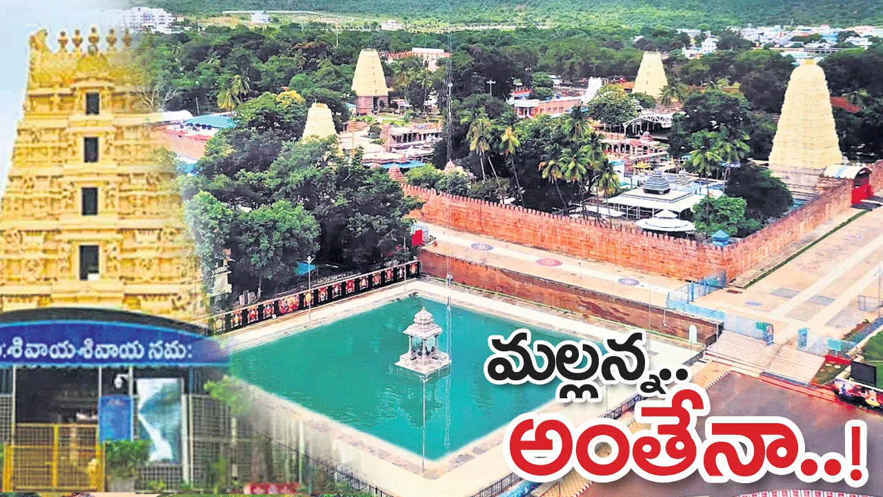 మల్లన్న అంతేనా!