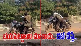 Watch Viral Video: ఇందుకే చెప్పేది.. ఎవరినీ తక్కువ అంచనా వేయొద్దు అని.. 
