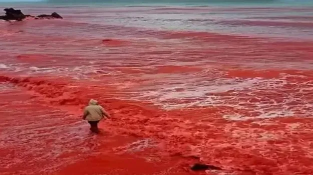 Iran red beach mystery: ఇరాన్‌లో రక్తపు వర్షం.. ఎరుపెక్కిన సముద్రం.. ఆసక్తికర కారణమేంటంటే..