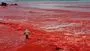 Iran red beach mystery: ఇరాన్‌లో రక్తపు వర్షం.. ఎరుపెక్కిన సముద్రం.. ఆసక్తికర కారణమేంటంటే..