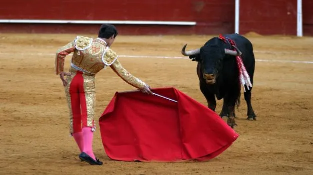 Bull red color: ఎరుపు రంగు చూస్తే ఎద్దుకు కోపం వస్తుందా.. అసలు నిజమేంటి..