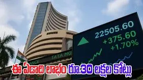 Indian stock market 2025: 2025లో భారత స్టాక్ మార్కెట్లు ఎంత లాభాలను అందించాయంటే..