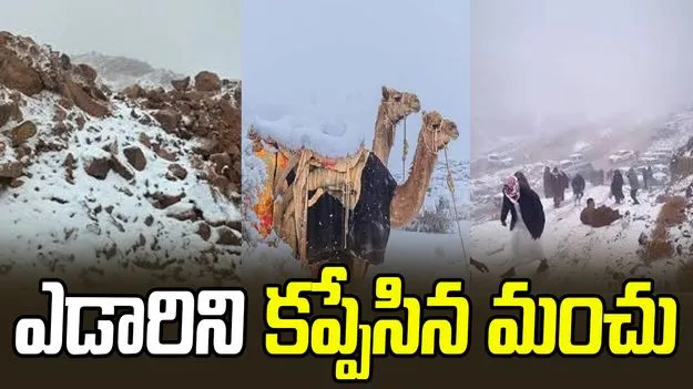Saudi Arabia: 30 ఏళ్ల తర్వాత.. సౌదీ ఎడారిలో మంచు వర్షం.. 