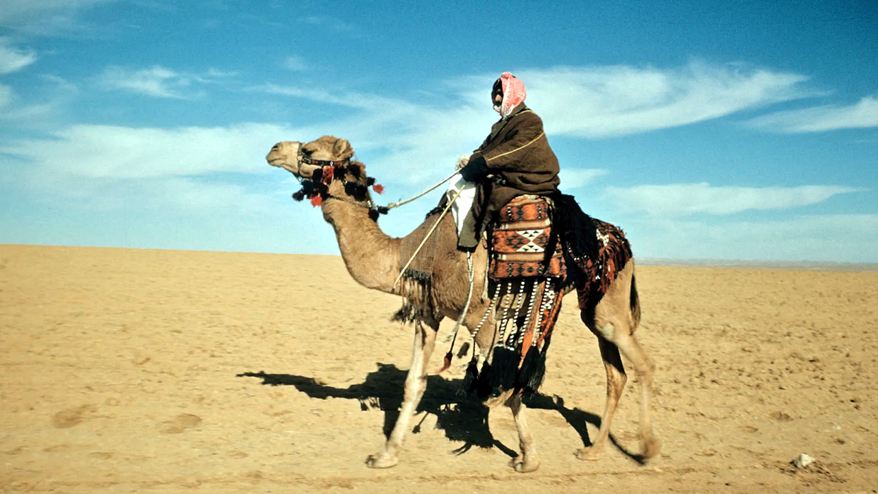 Most Faithful Animals: కుక్కల కంటే విశ్వాసంగా ఉండే.. ఈ 5 జంతువుల గురించి తెలుసా.. 