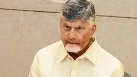AP Collectors Conference: రూటీన్‌కు భిన్నంగా కలెక్టర్ల కాన్ఫరెన్స్.. సీఎం హర్షం