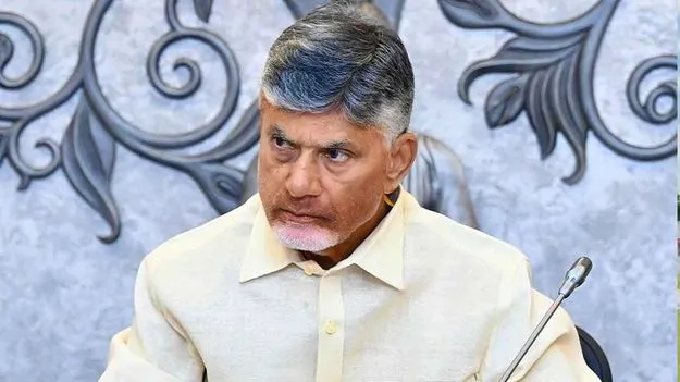 CM Chandrababu: రెవెన్యూ శాఖపై  సీఎం చంద్రబాబు సీరియస్